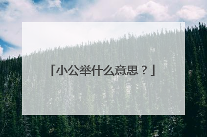 小公举什么意思？