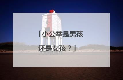 小公举是男孩还是女孩？