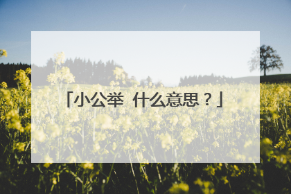 小公举 什么意思？
