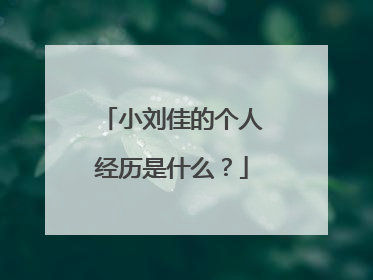小刘佳的个人经历是什么?
