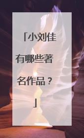小刘佳有哪些著名作品?