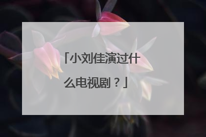 小刘佳演过什么电视剧？