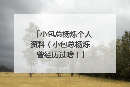 小包总杨烁个人资料（小包总杨烁曾经历过啥）