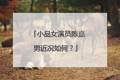 小品女演员陈嘉男近况如何?