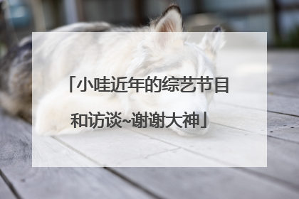 小哇近年的综艺节目和访谈~谢谢大神