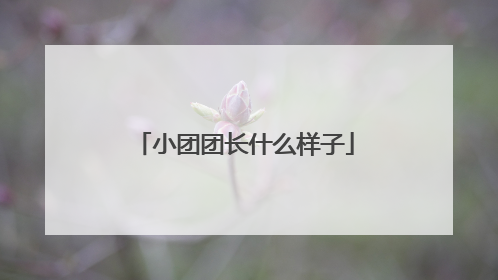 小团团长什么样子