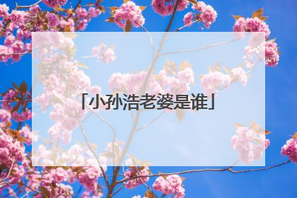 小孙浩老婆是谁