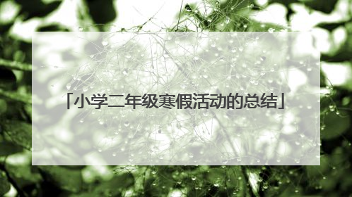 小学二年级寒假活动的总结