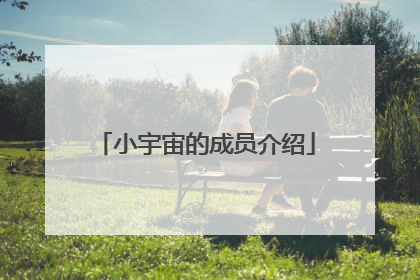 小宇宙的成员介绍