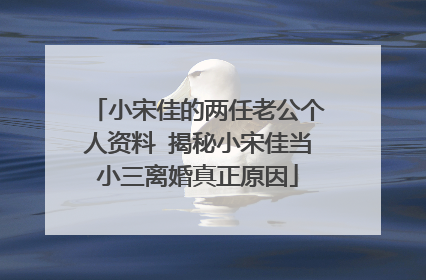 小宋佳的两任老公个人资料 揭秘小宋佳当小三离婚真正原因
