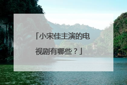 小宋佳主演的电视剧有哪些?