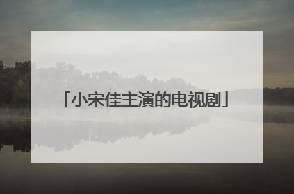 小宋佳主演的电视剧