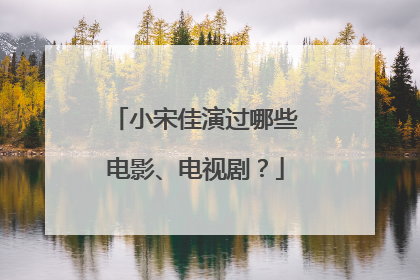 小宋佳演过哪些电影、电视剧？