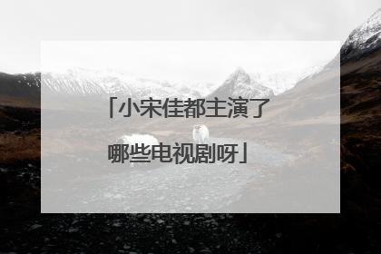 小宋佳都主演了哪些电视剧呀