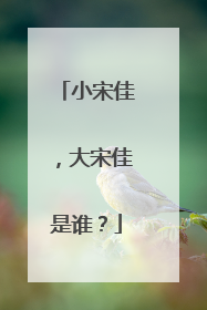 小宋佳,大宋佳是谁?