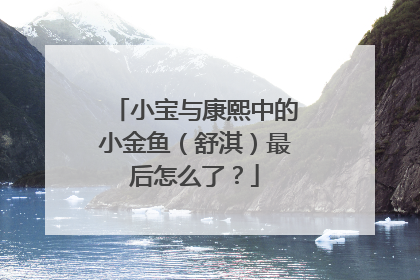 小宝与康熙中的小金鱼（舒淇）最后怎么了？