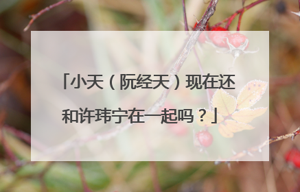 小天（阮经天）现在还和许玮宁在一起吗？