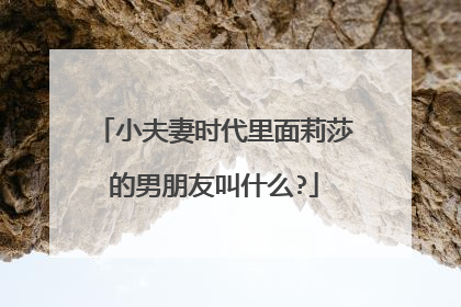 小夫妻时代里面莉莎的男朋友叫什么?