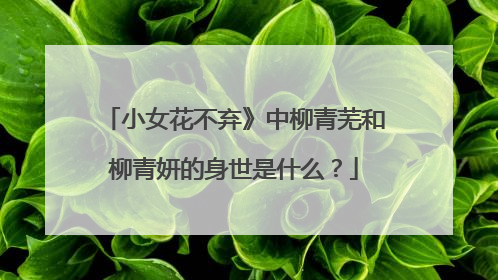 小女花不弃》中柳青芜和柳青妍的身世是什么？