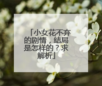 小女花不弃的剧情,结局是怎样的?求解析