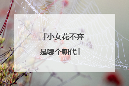 小女花不弃是哪个朝代