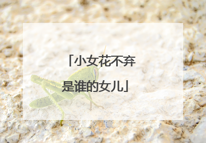 小女花不弃是谁的女儿