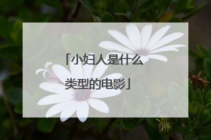 小妇人是什么类型的电影