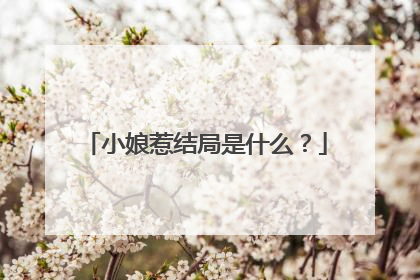 小娘惹结局是什么?