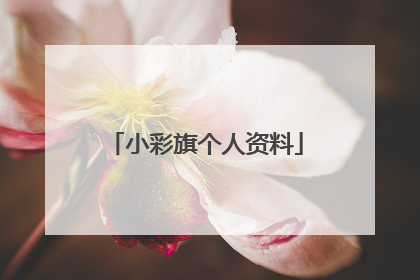 小彩旗个人资料