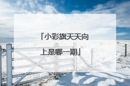 小彩旗天天向上是哪一期