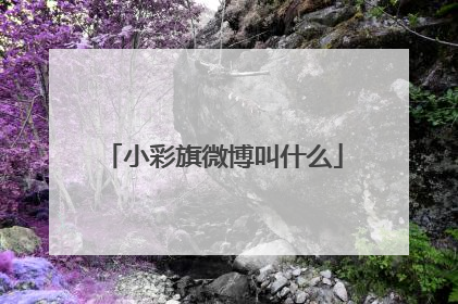 小彩旗微博叫什么