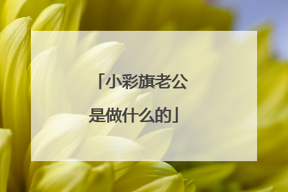 小彩旗老公是做什么的