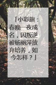 小彩旗：春晚一夜成名，因叛逆被杨丽萍放弃培养，如今怎样？