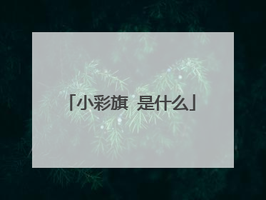 小彩旗 是什么