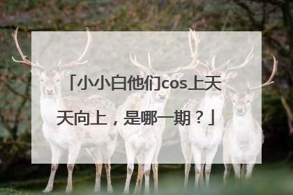 小小白他们cos上天天向上，是哪一期？