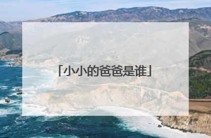 小小的爸爸是谁