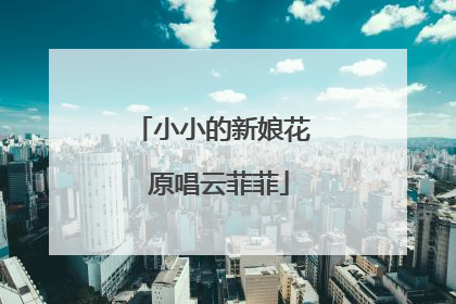 小小的新娘花 原唱云菲菲
