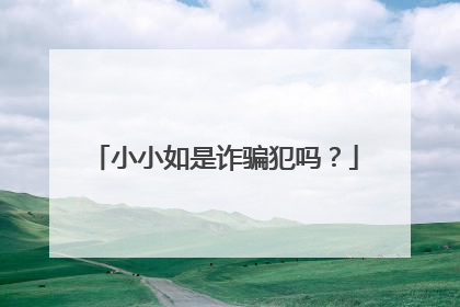 小小如是诈骗犯吗?