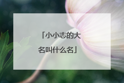 小小志的大名叫什么名