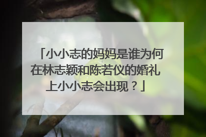 小小志的妈妈是谁为何在林志颖和陈若仪的婚礼上小小志会出现？
