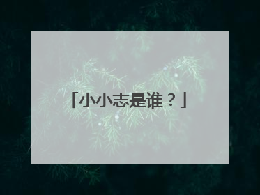 小小志是谁？