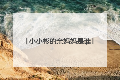 小小彬的亲妈妈是谁