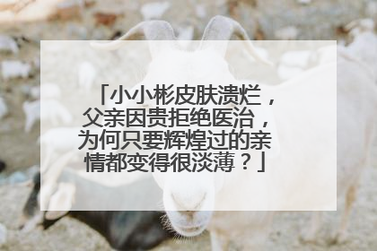 小小彬皮肤溃烂,父亲因贵拒绝医治,为何只要辉煌过的亲情都变得很淡薄?