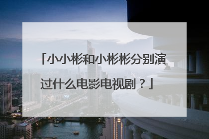 小小彬和小彬彬分别演过什么电影电视剧?