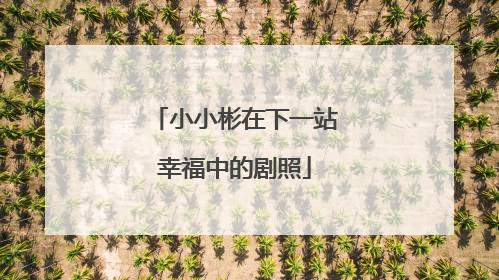 小小彬在下一站幸福中的剧照