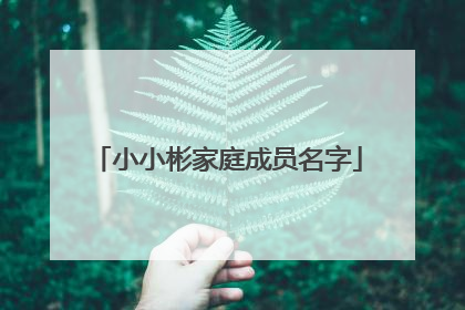 小小彬家庭成员名字