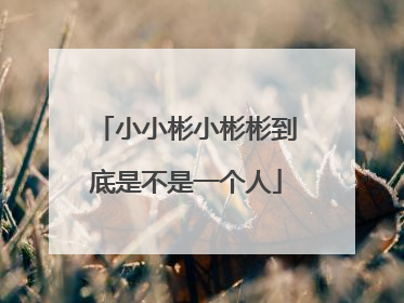 小小彬小彬彬到底是不是一个人