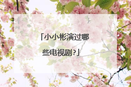 小小彬演过哪些电视剧?