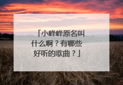 小峰峰原名叫什么啊?有哪些好听的歌曲?