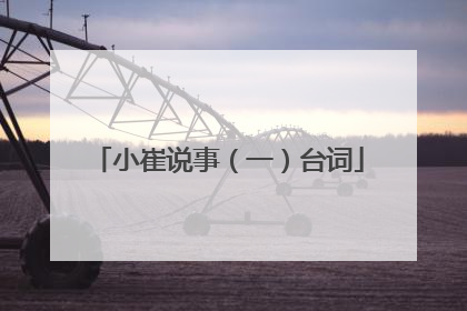 小崔说事（一）台词